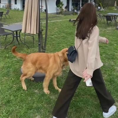 三狼四虎女霸王